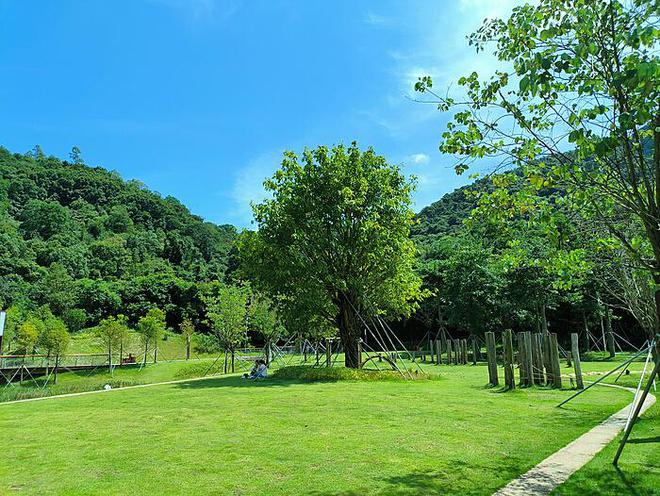 吴君如的金鸡节沙茶面之旅